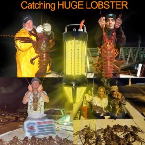 green underwater fishing lights 800W