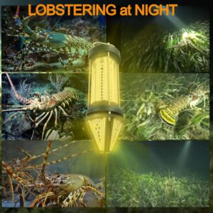 green underwater fishing lights 800W