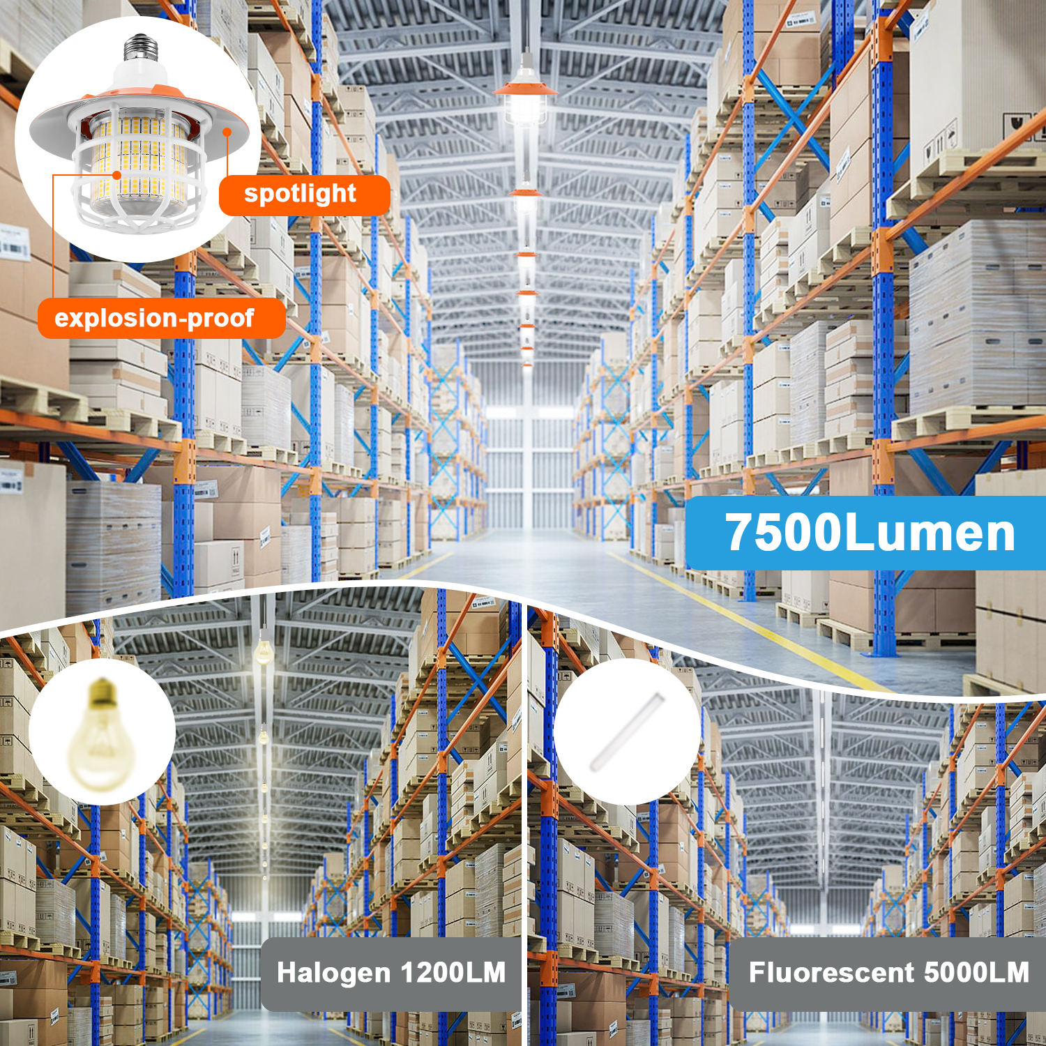 30W Explosion-Proof Camping Light