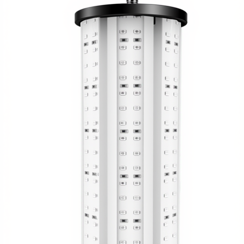 QQ图片20260117134239